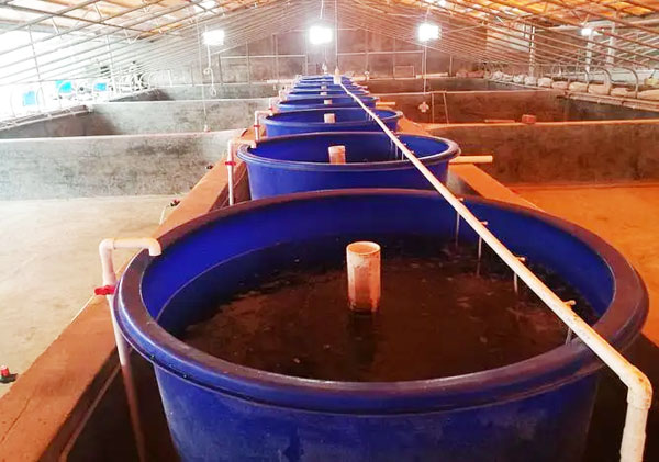 水產養殖桶