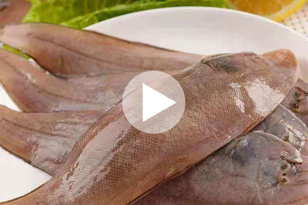 舌鰨魚為什么高檔？剝?nèi)ヴ~皮就明白了