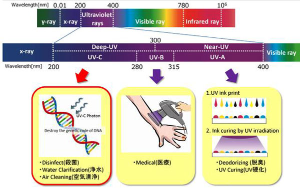 紫外線殺菌設備在工廠化循環水養殖中的重要作用
